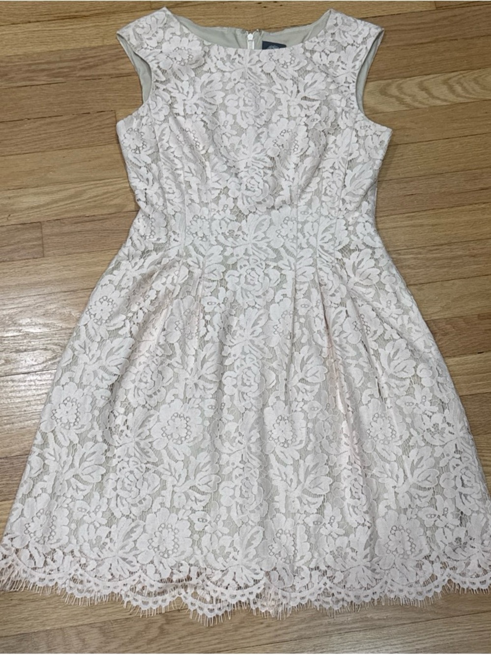 Vince Camuto Floral Lace fit and flare Mini Dress in Light Pink and Cream
